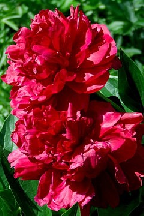 САНИНСТРУКТОР  ГАЙКИНА